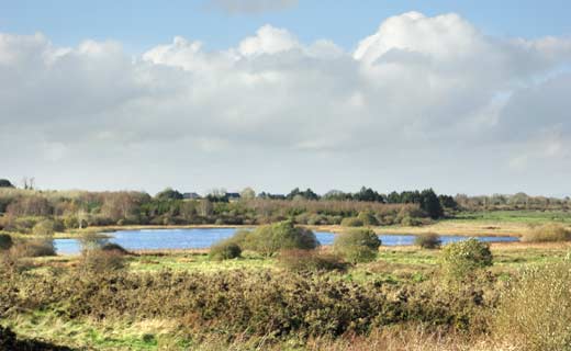 Mayfield Lough, Claremorris